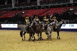 Quadrille - 00888